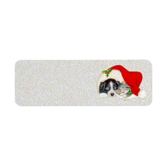 Puppy and Kitten Sleeping Under Santa's Hat (Front)