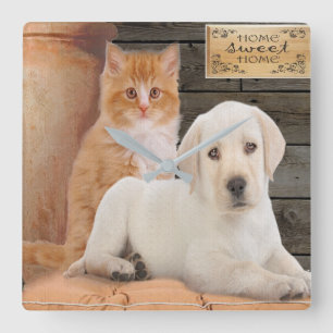 puppy and kitten square wall clock
