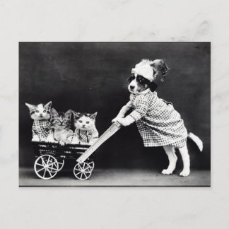 Puppy and Kittens Human Situations Postcard