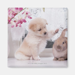 Puppy and Lop Ear Rabbit Magnet