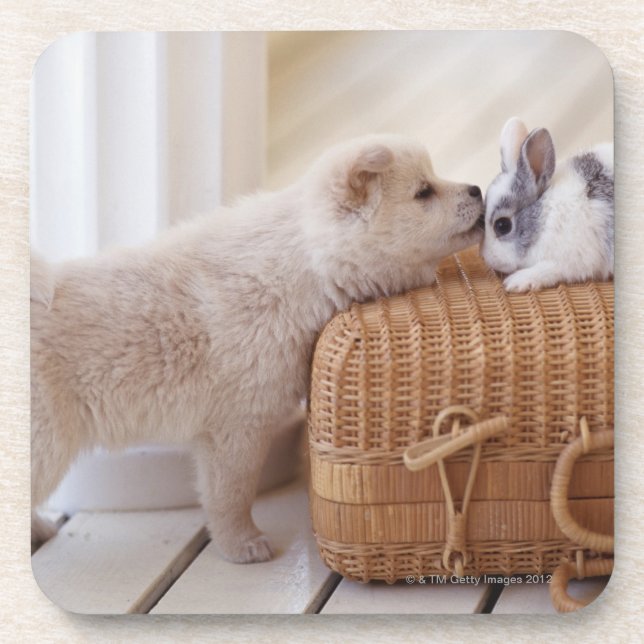 Puppy and rabbit coaster (Front)
