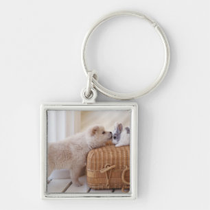 Puppy and rabbit keychain