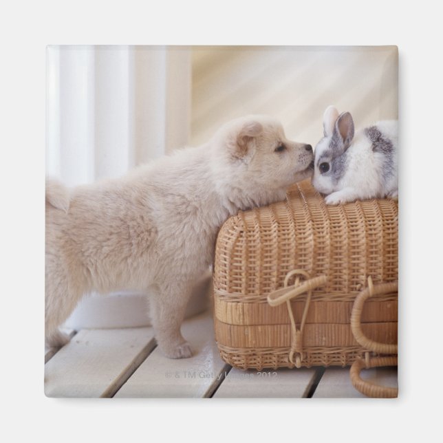 Puppy and rabbit magnet (Front)