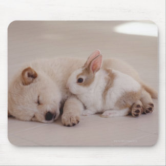 Puppy and Rabbit Mouse Pad