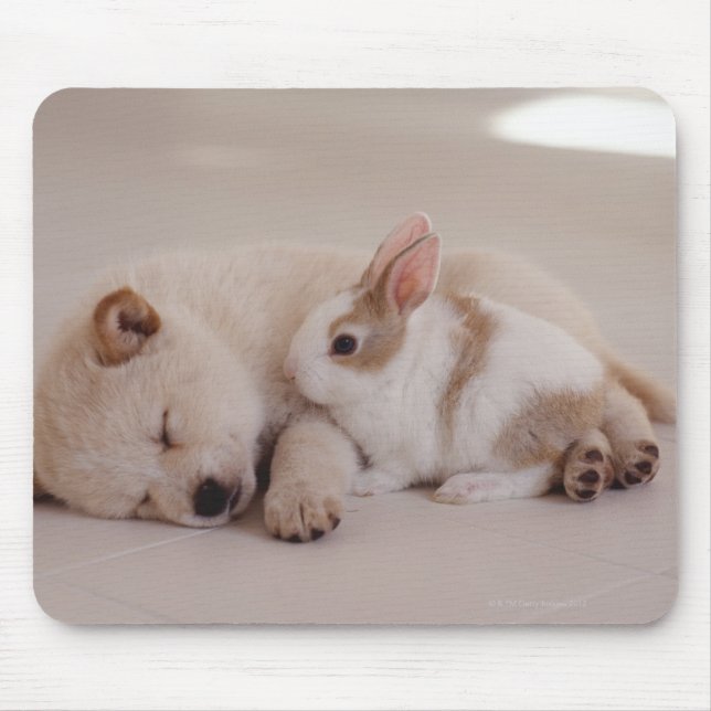 Puppy and Rabbit Mouse Pad (Front)