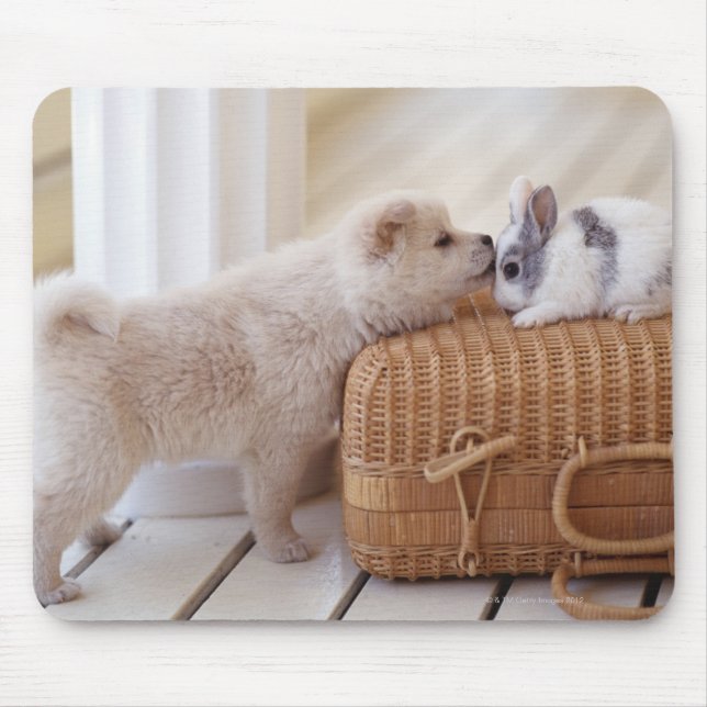 Puppy and rabbit mouse pad (Front)