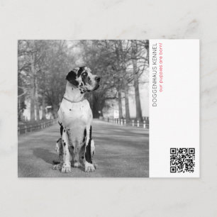 Puppy announcement postcard