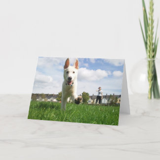 Puppy at Play Greeting Card