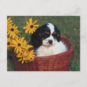 Puppy Basket Postcard