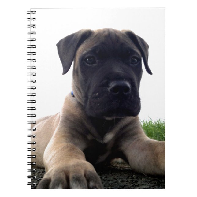 Puppy Bullmastiff Notebook (Front)