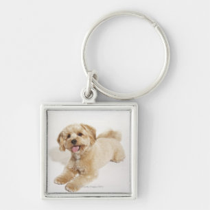 Puppy (Canis familiaris) 2 Keychain