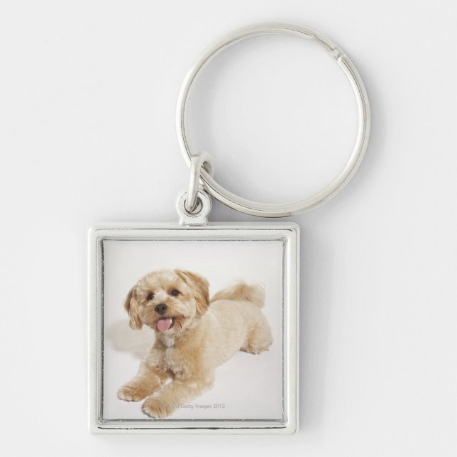 Puppy (Canis familiaris) 2 Keychain (Front)