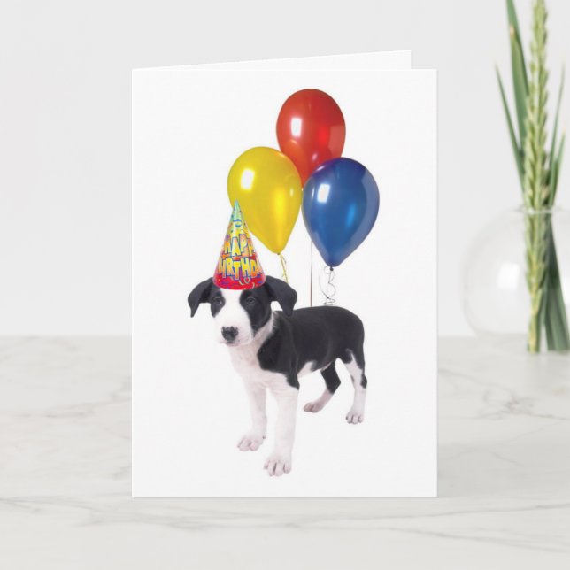 puppy card (Front)