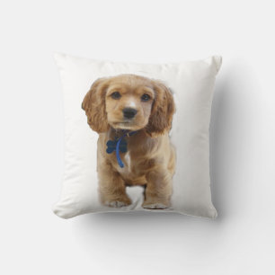 Puppy Ccoker spaniels Throw Pillow