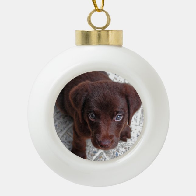 Puppy Ceramic Ball Christmas Ornament (Front)