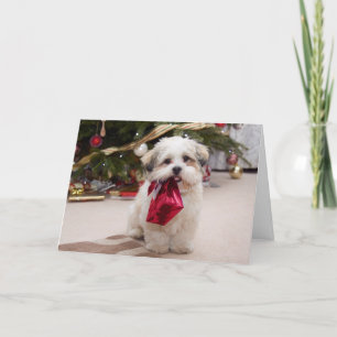 Puppy Christmas Card