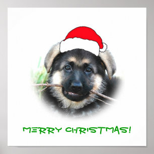 Puppy Christmas Poster