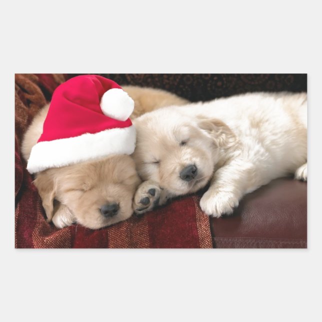Puppy Christmas Sticker (Front)