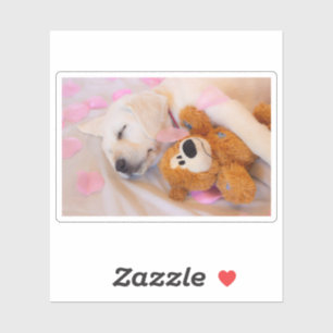 Puppy cuddles 02