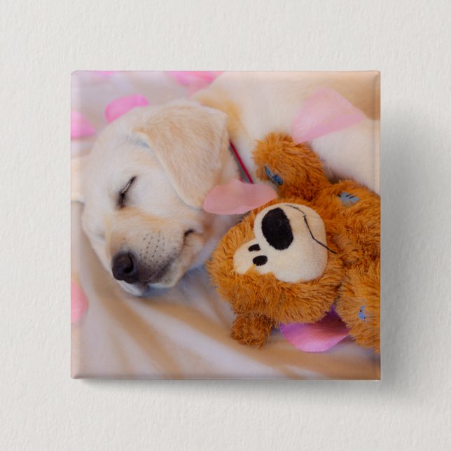 Puppy cuddles 02 2 inch square button (Front)