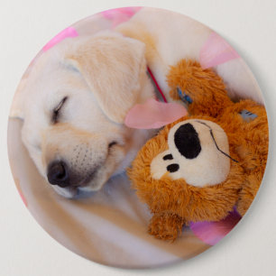 Puppy cuddles 02 6 inch round button