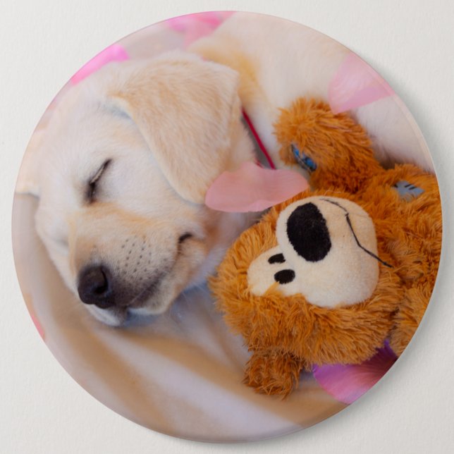 Puppy cuddles 02 6 inch round button (Front)