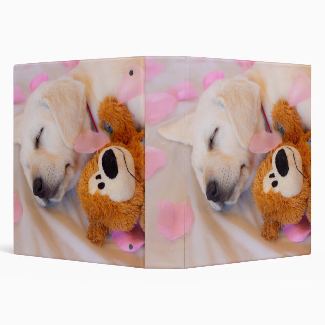 Puppy cuddles 02 binder (Background)