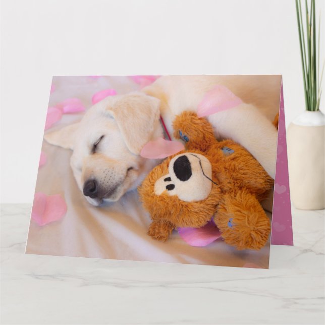 Puppy cuddles 02 card (Front)