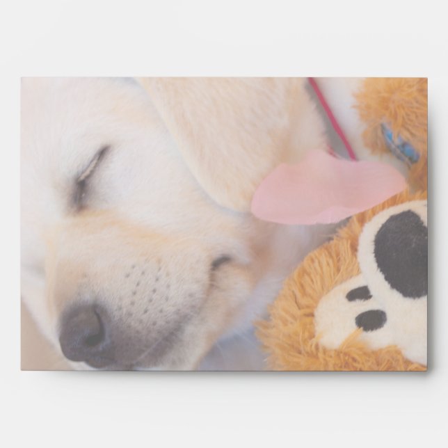 Puppy cuddles 02 envelope (Front)
