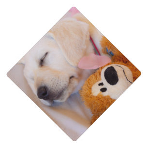 Puppy cuddles 02 graduation cap topper