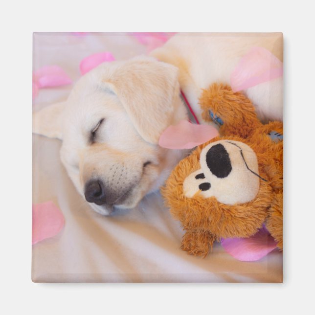 Puppy cuddles 02 magnet (Front)