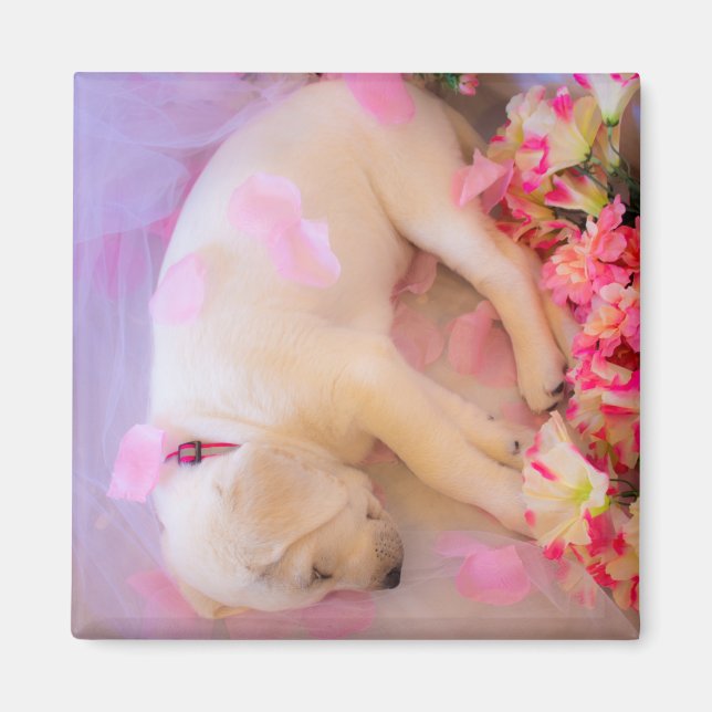 Puppy cuddles 02 magnet (Front)
