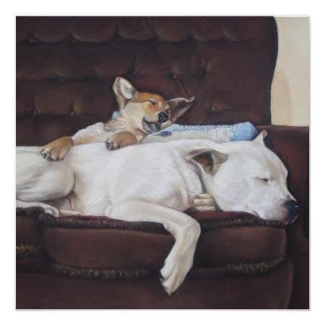 puppy cuddling white american bulldog realist art poster (Front)