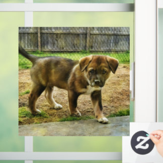 Puppy Curtness T-Shirt Window Cling