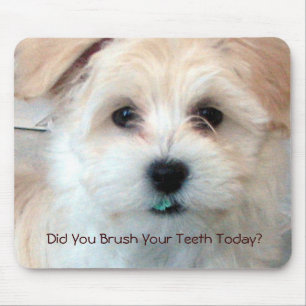 Puppy - Did You Brush Your Teeth Today? Mouse Pad