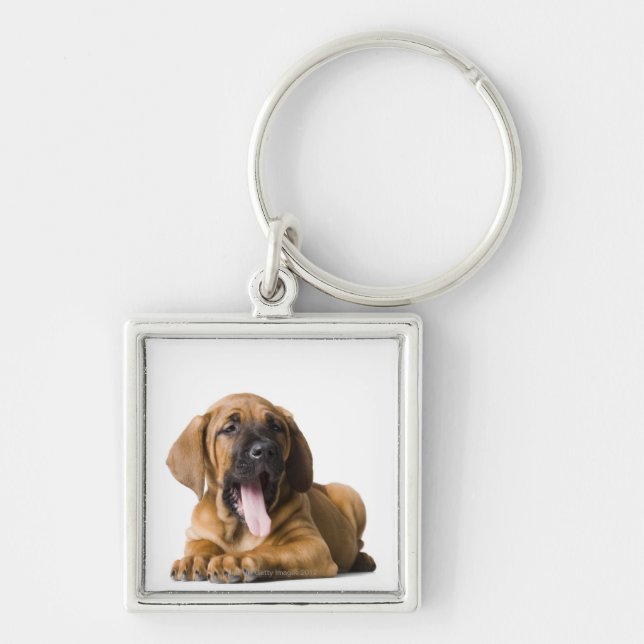 Puppy Dog 2 Keychain (Front)