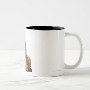 Puppy Dog 2 Two-Tone Coffee Mug