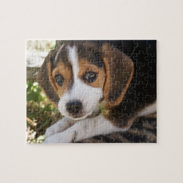 Puppy Dog Beagle Jigsaw Puzzle (Horizontal)