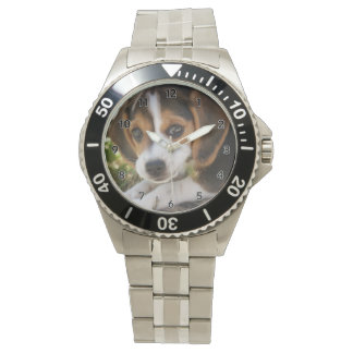 Puppy Dog Beagle Watch