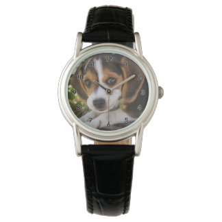 Puppy Dog Beagle Watch