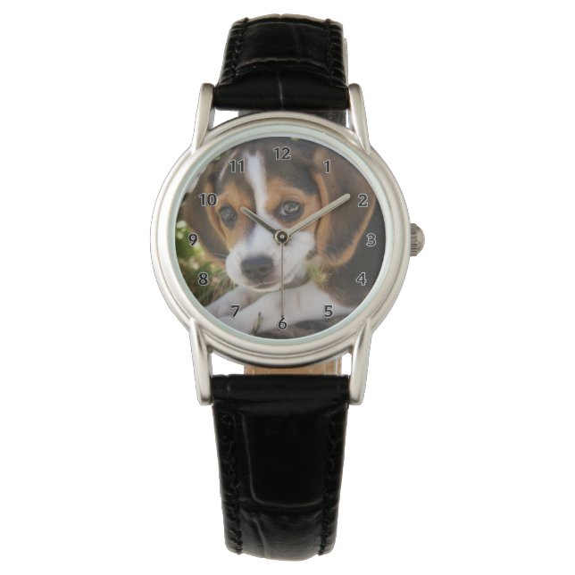 Puppy Dog Beagle Watch (Front)