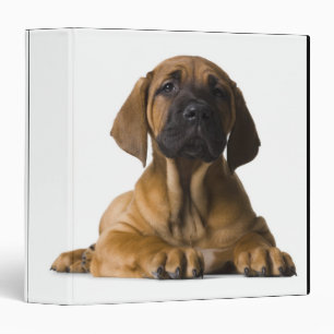 Puppy Dog Binder