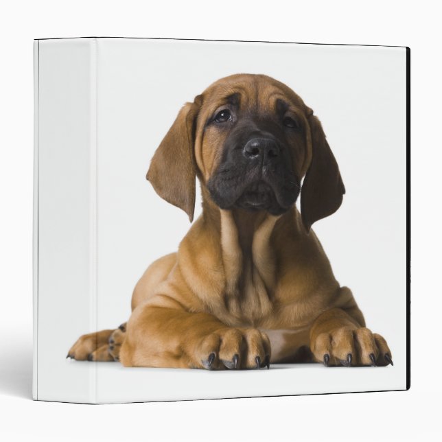 Puppy Dog Binder (Front/Spine)