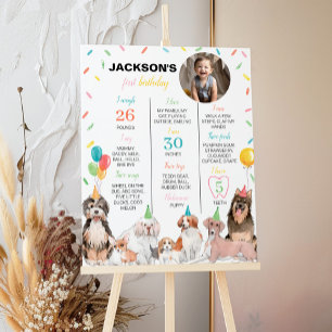 Puppy Dog Boy Birthday Milestone Sign Poster
