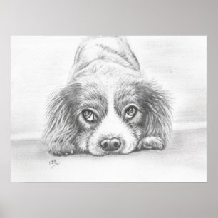 Puppy Dog Drawing Artwork Art print