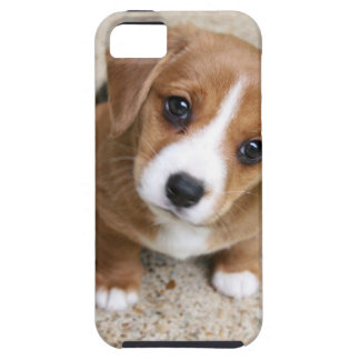 Puppy Dog Eyes Case For The iPhone 5