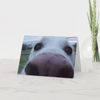 Puppy Dog Face Card
