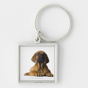 Puppy Dog Keychain