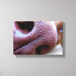 Puppy Dog Nose Canvas Print