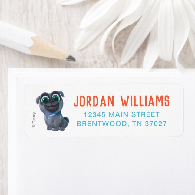 Puppy Dog Pals Chalkboard Birthday  Label (Insitu)